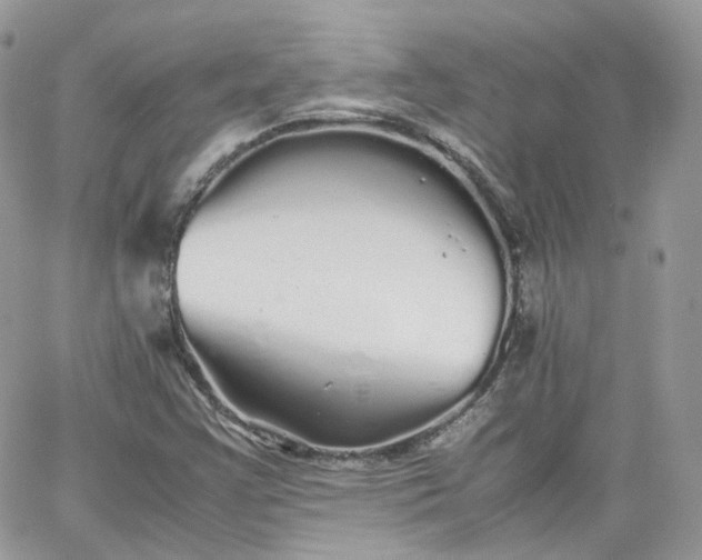 X0000066081355200603241421