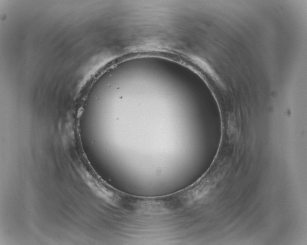 X0000066081356200603241421