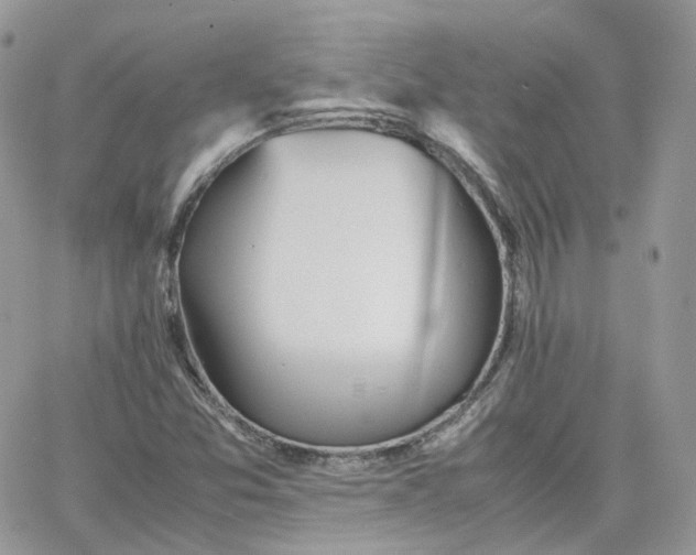 X0000066081357200603241421