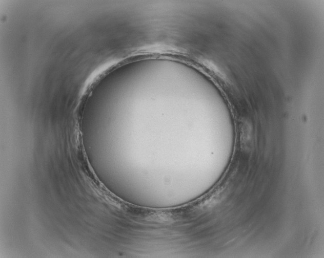 X0000066081358200603241421