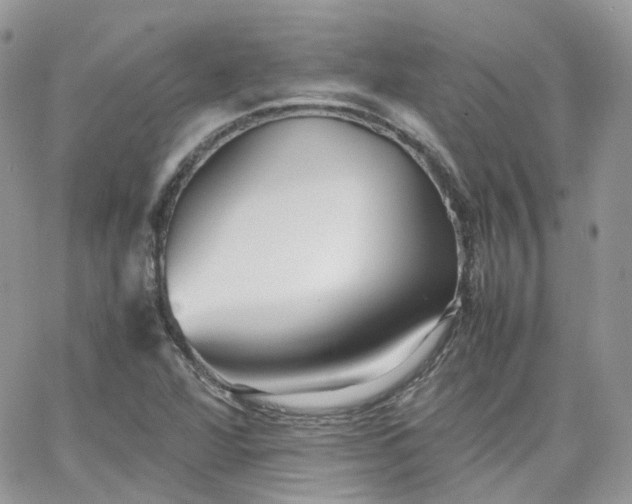 X0000066081360200603241421