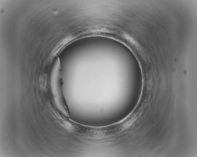 X0000066081361200603241421