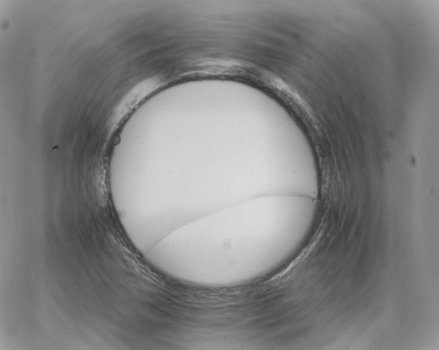 X0000066081362200603241421