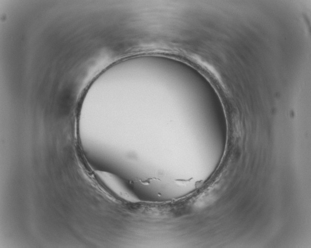 X0000066081365200603241421