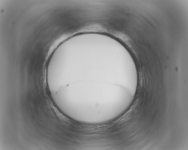 X0000066081366200603241421