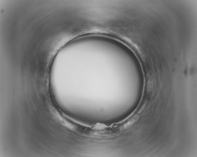 X0000066081367200603241421