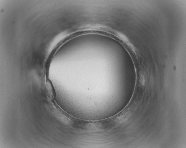 X0000066081368200603241421