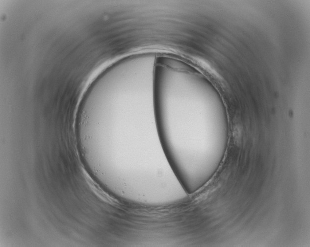 X0000066081372200603241421