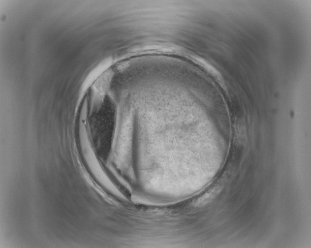 X0000066081373200603241421