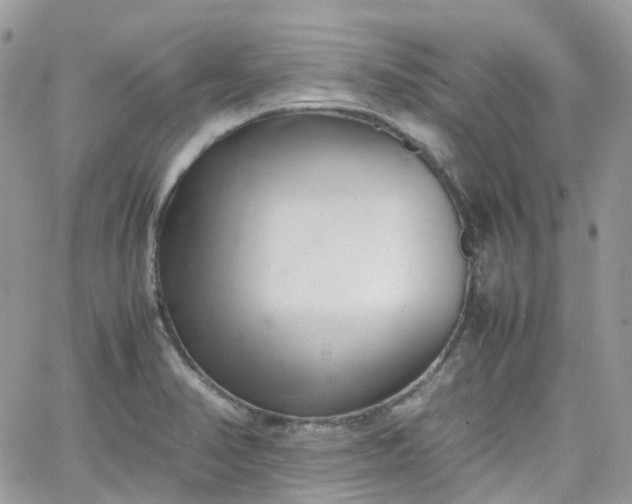 X0000066081374200603241421