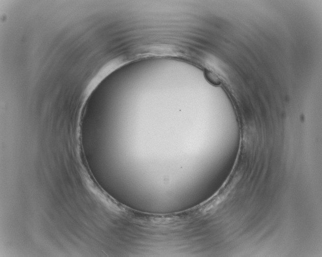 X0000066081378200603241421