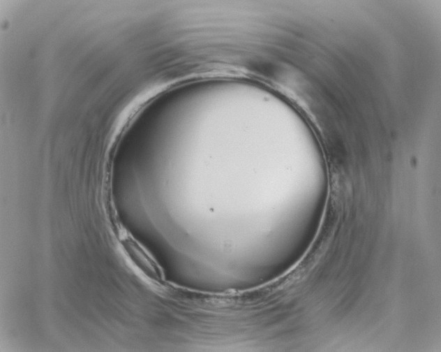 X0000066081379200603241421