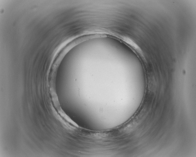 X0000066081380200603241421