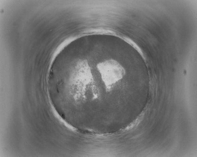 X0000066081381200603241421