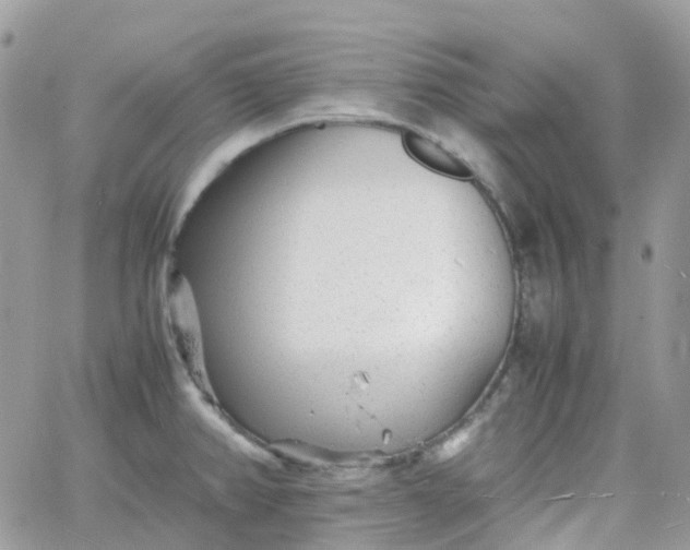 X0000066081382200603241421