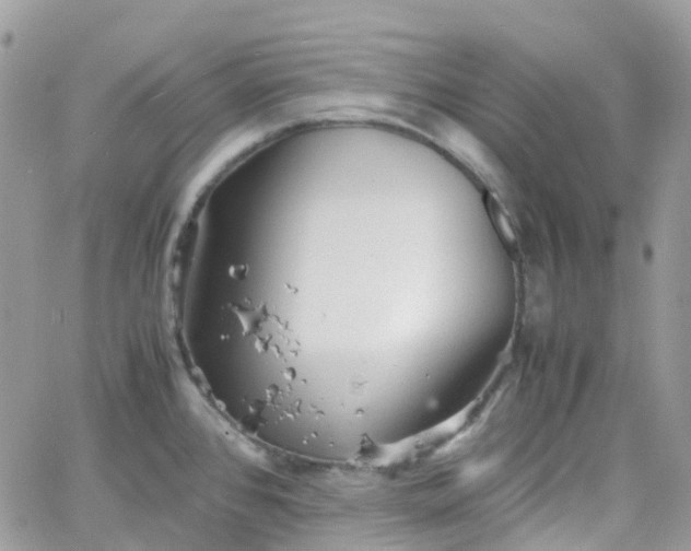 X0000066081384200603241421