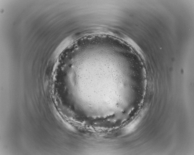 X0000066081385200603241421