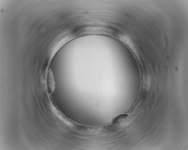 X0000066081386200603241421