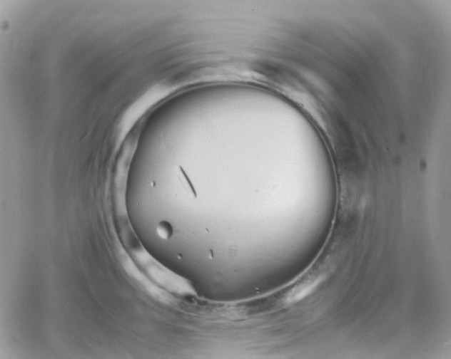 X0000066081387200603241421