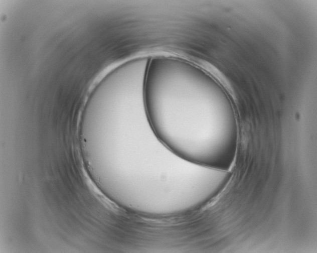 X0000066081388200603241421