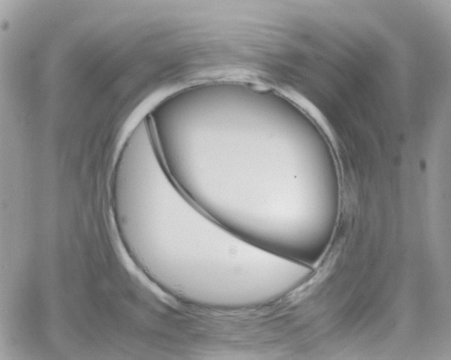 X0000066081389200603241421