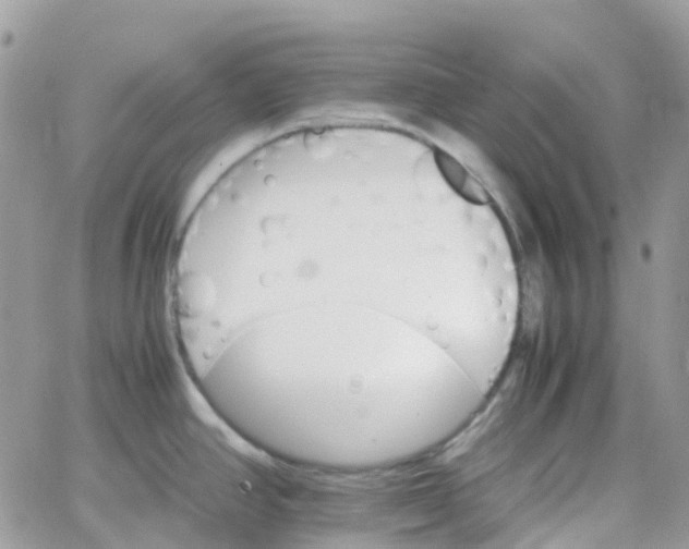 X0000066081390200603241421