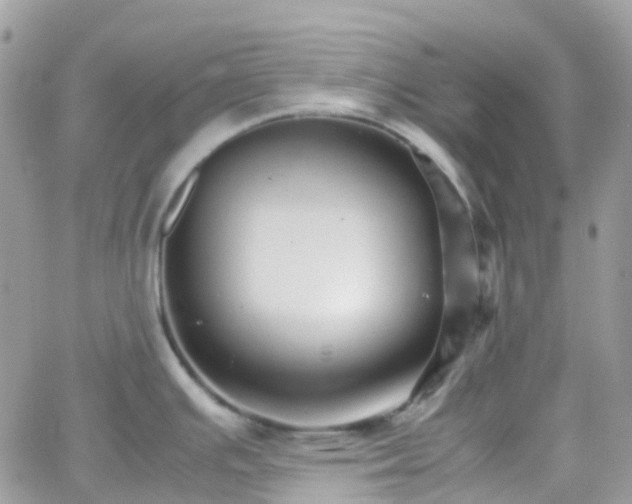 X0000066081391200603241421