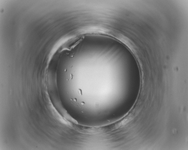 X0000066081392200603241421