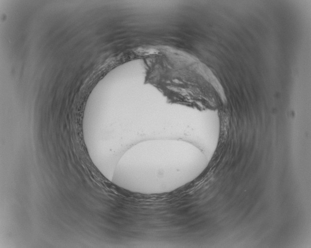 X0000066081393200603241420