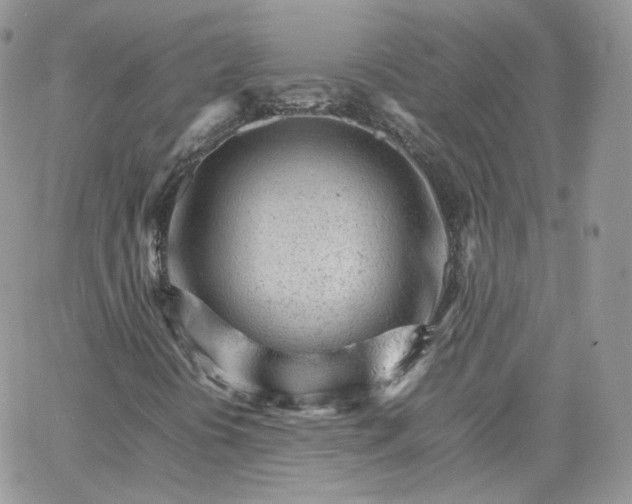 X0000066081394200603241420