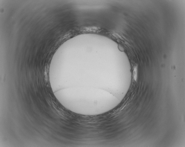 X0000066081395200603241420