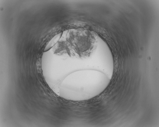 X0000066081397200603241420