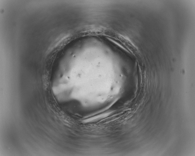 X0000066081399200603241420