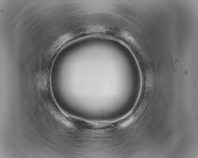 X0000066081401200603241420