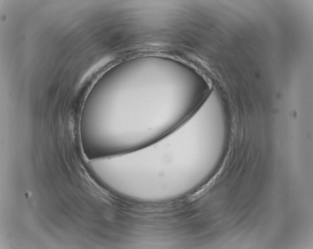 X0000066081402200603241420