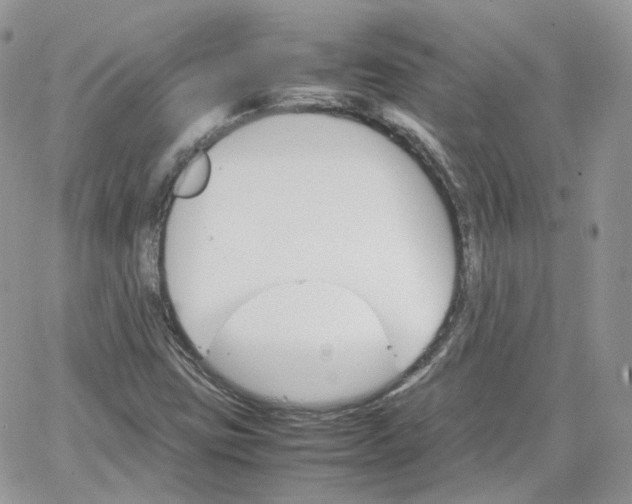 X0000066081403200603241420