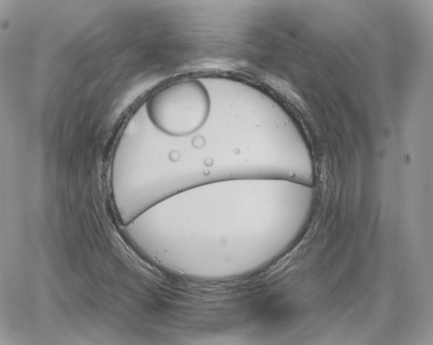 X0000066081404200603241420