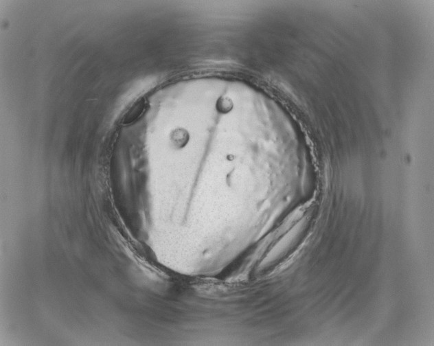 X0000066081405200603241420