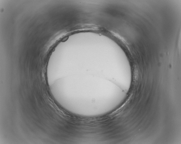 X0000066081407200603241420