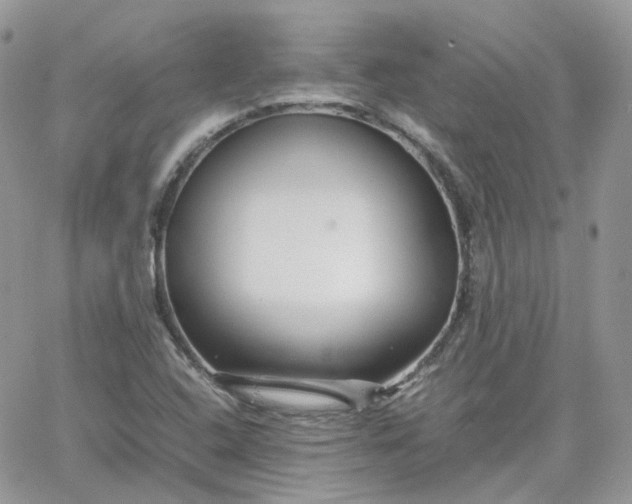 X0000066081408200603241420