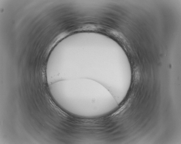 X0000066081409200603241420