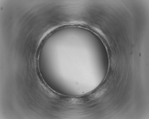 X0000066081412200603241420