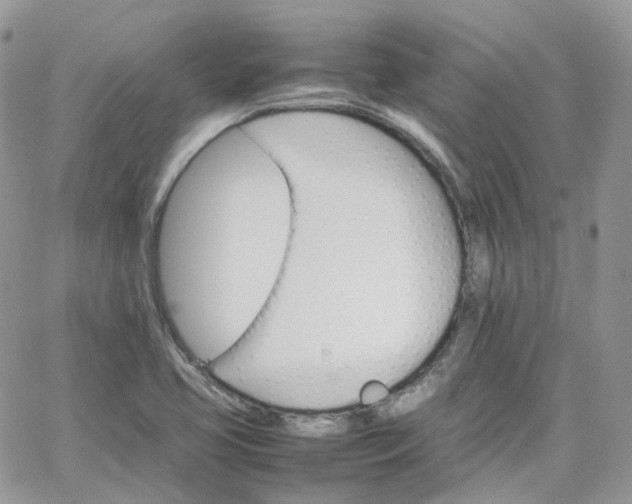 X0000066081413200603241420