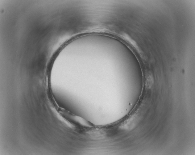 X0000066081414200603241420