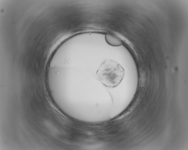 X0000066081415200603241420