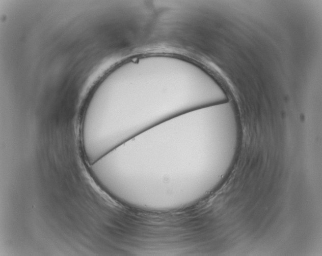 X0000066081416200603241420