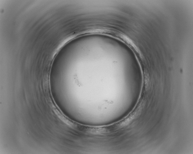 X0000066081417200603241420