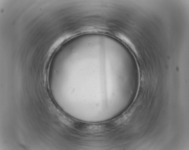 X0000066081419200603241420