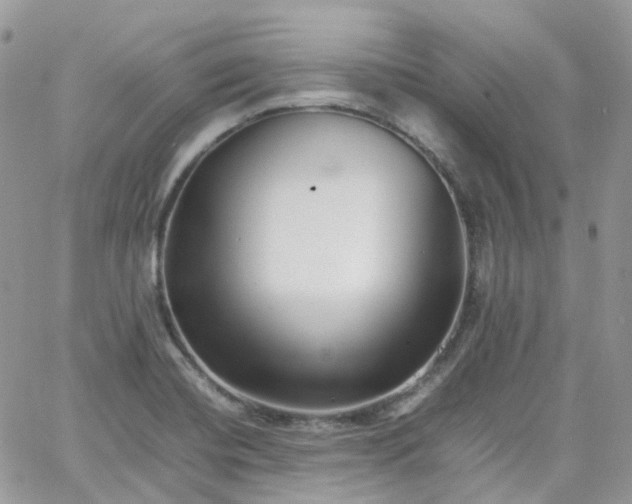 X0000066081420200603241420