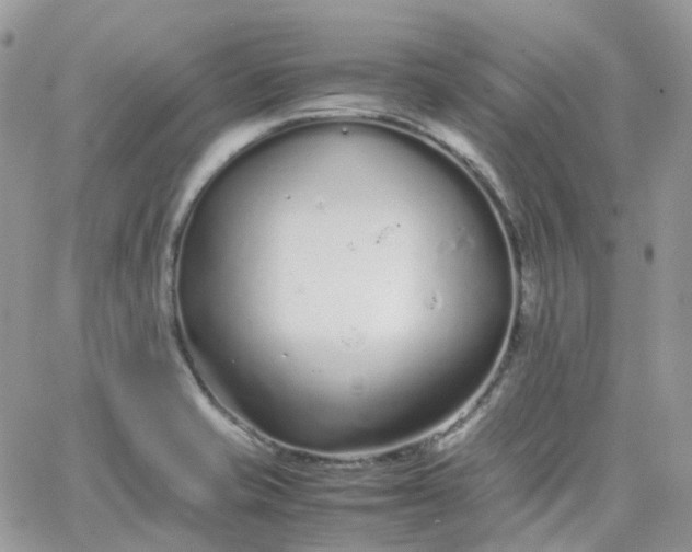 X0000066081421200603241420